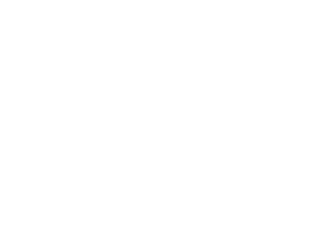 Fire Logo